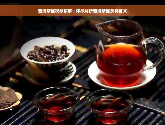 普洱茶雀视频讲解 - 详尽解析普洱茶雀及其含义