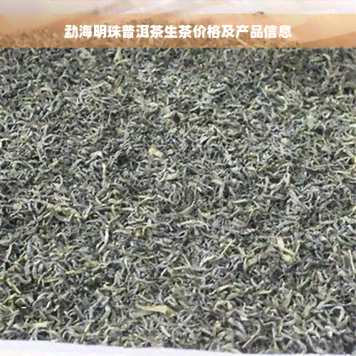 勐海明珠普洱茶生茶价格及产品信息