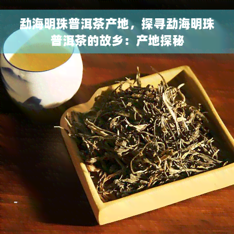 勐海明珠普洱茶产地，探寻勐海明珠普洱茶的故乡：产地探秘