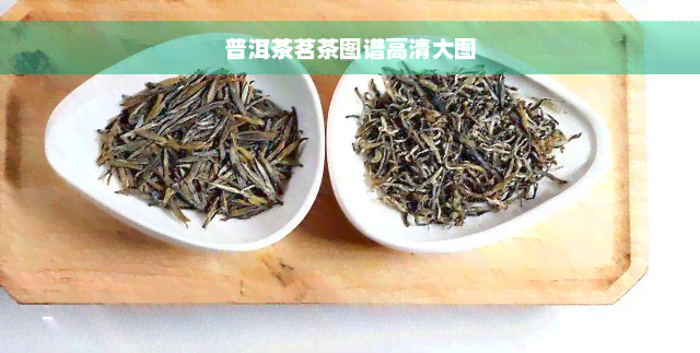 普洱茶茗茶图谱高清大图