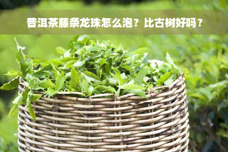 普洱茶藤条龙珠怎么泡？比古树好吗？