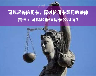 可以起诉信用卡，探讨信用卡滥用的法律责任：可以起诉信用卡公司吗？