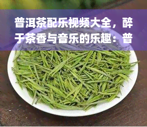 普洱茶配乐视频大全，醉于茶香与音乐的乐趣：普洱茶配乐视频大全