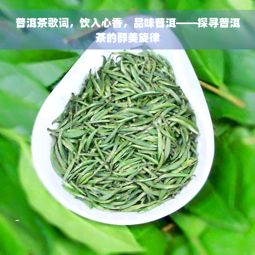 普洱茶歌词，饮入心香，品味普洱——探寻普洱茶的醇美旋律