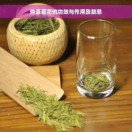 仲茶菊花的功效与作用及禁忌