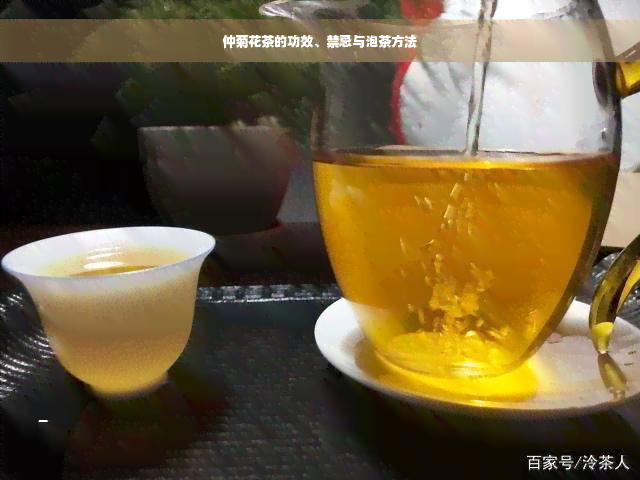 仲菊花茶的功效、禁忌与泡茶方法