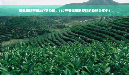 普洱布朗茶饼357克价格，357克普洱布朗茶饼的价格是多少？