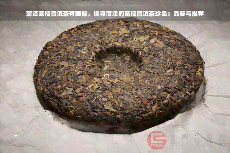 菏泽高档普洱茶有哪些，探寻菏泽的高档普洱茶珍品：品鉴与推荐