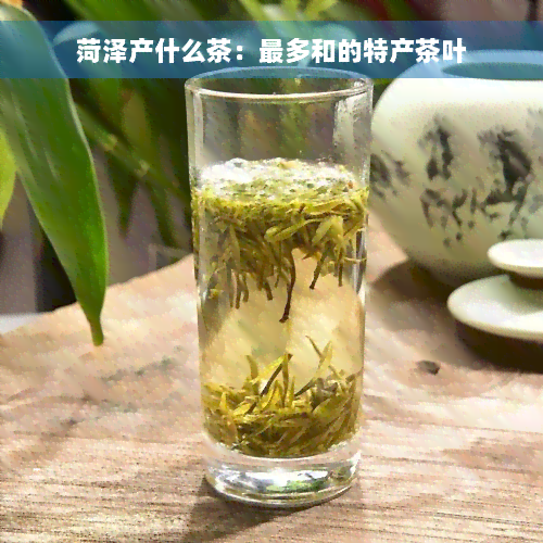 菏泽产什么茶：最多和的特产茶叶