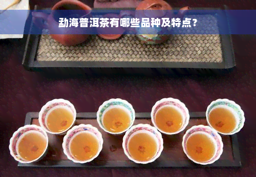 勐海普洱茶有哪些品种及特点？