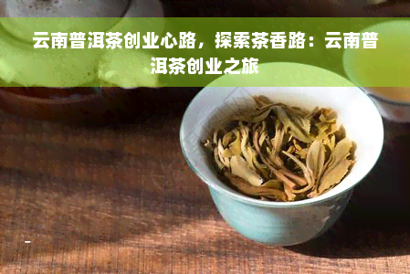 云南普洱茶创业心路，探索茶香路：云南普洱茶创业之旅