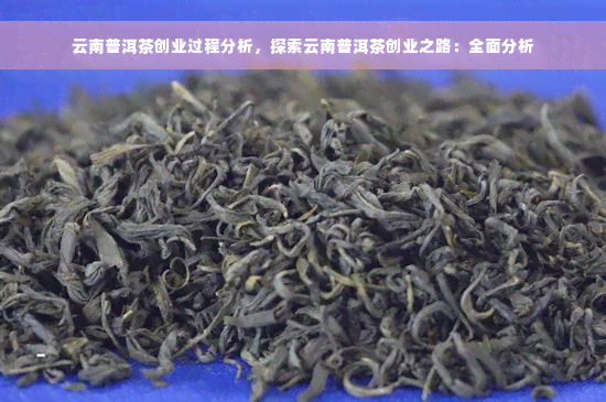 云南普洱茶创业过程分析，探索云南普洱茶创业之路：全面分析