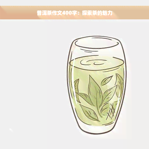 普洱茶作文400字：探索茶的魅力