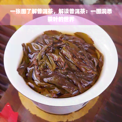 一张图了解普洱茶，解读普洱茶：一图洞悉茶叶的世界