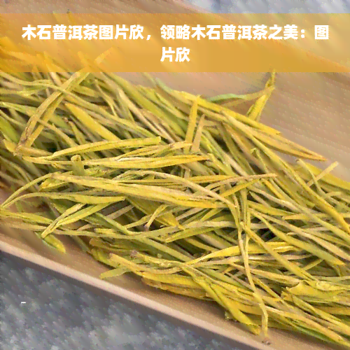 木石普洱茶图片欣，领略木石普洱茶之美：图片欣