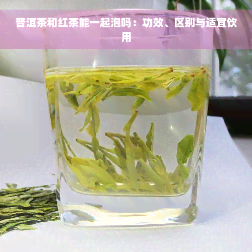 普洱茶和红茶能一起泡吗：功效、区别与适宜饮用