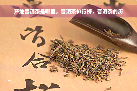 产地普洱茶是哪里，普洱茶排行榜，普洱茶的历