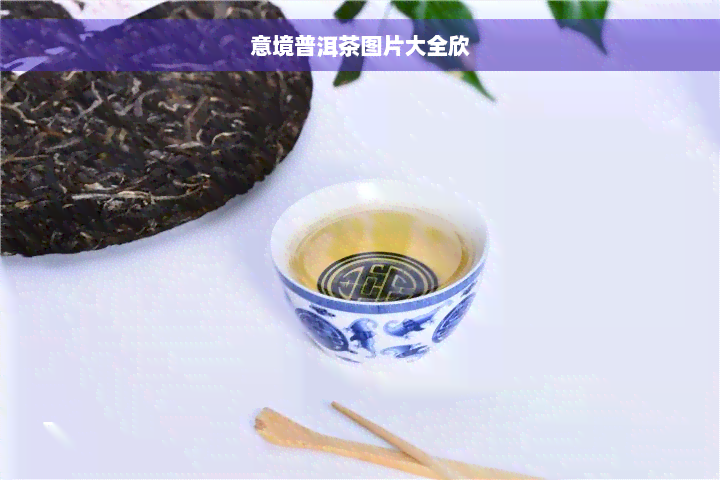 意境普洱茶图片大全欣