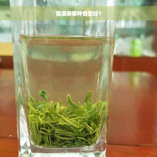 普洱茶哪种香型好？