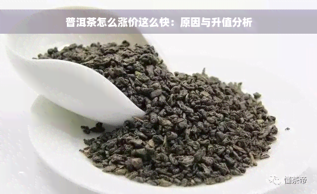 普洱茶怎么涨价这么快：原因与升值分析