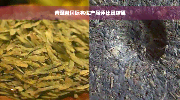 普洱茶国际名优产品评比及结果