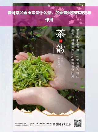 普洱茶沉香玉露是什么茶，沉香普洱茶的功效与作用