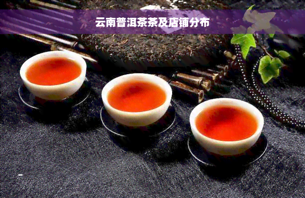 云南普洱茶茶及店铺分布