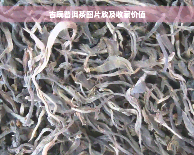 古玩普洱茶图片欣及收藏价值