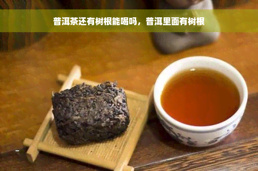 普洱茶还有树根能喝吗，普洱里面有树根