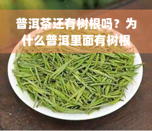 普洱茶还有树根吗？为什么普洱里面有树根？