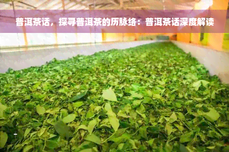 普洱茶话，探寻普洱茶的历脉络：普洱茶话深度解读