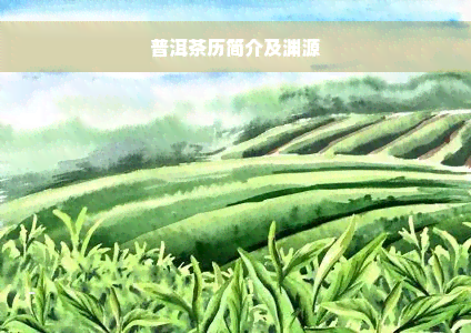 普洱茶历简介及渊源