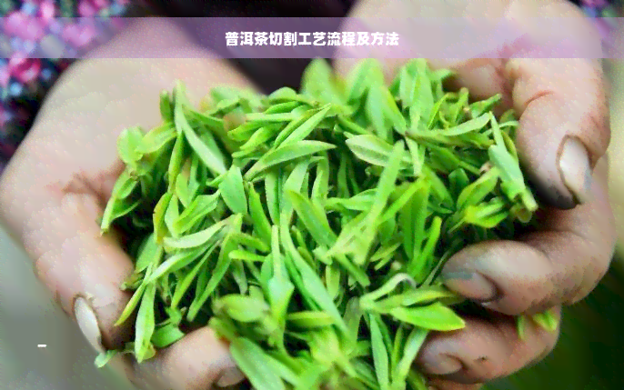 普洱茶切割工艺流程及方法