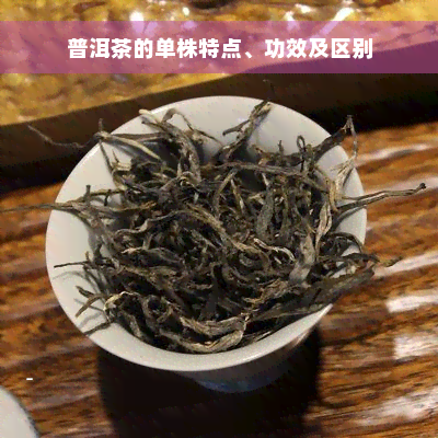 普洱茶的单株特点、功效及区别