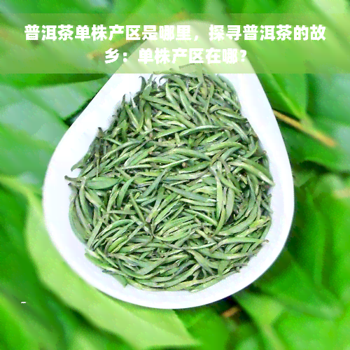 普洱茶单株产区是哪里，探寻普洱茶的故乡：单株产区在哪？