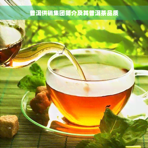 普洱供销集团简介及其普洱茶品质