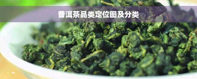 普洱茶品类定位图及分类