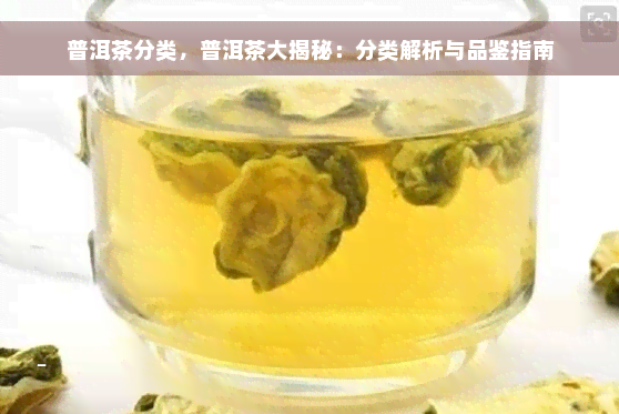 普洱茶分类，普洱茶大揭秘：分类解析与品鉴指南