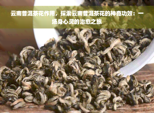 云南普洱茶花作用，探索云南普洱茶花的神奇功效：一场身心灵的治愈之旅