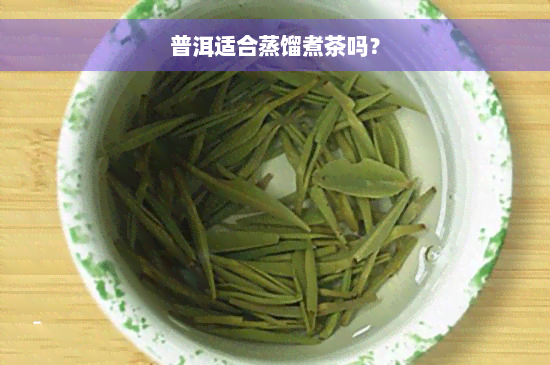 普洱适合蒸馏煮茶吗？