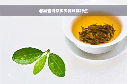 老寨普洱茶多少钱及其特点