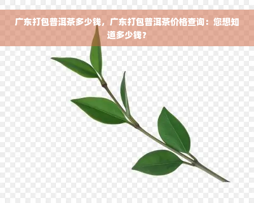 广东打包普洱茶多少钱，广东打包普洱茶价格查询：您想知道多少钱？