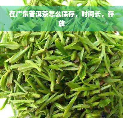 在广东普洱茶怎么保存，时间长，存放