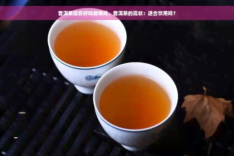 普洱茶现在好吗能喝吗，普洱茶的现状：适合饮用吗？