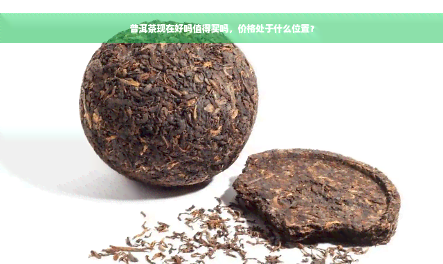 普洱茶现在好吗值得买吗，价格处于什么位置？