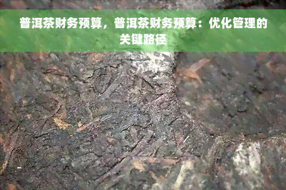 普洱茶财务预算，普洱茶财务预算：优化管理的关键路径