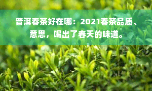 普洱春茶好在哪：2021春茶品质、意思，喝出了春天的味道。