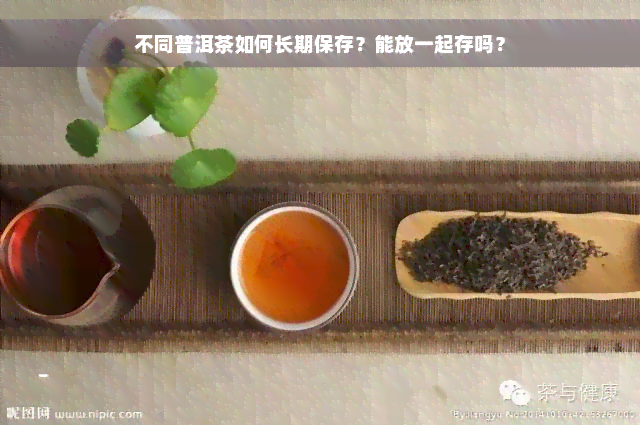 不同普洱茶如何长期保存？能放一起存吗？