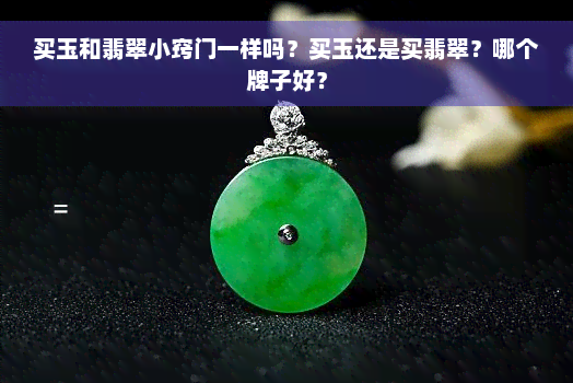 买玉和翡翠小窍门一样吗？买玉还是买翡翠？哪个牌子好？