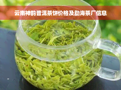 云南神韵普洱茶饼价格及勐海茶厂信息